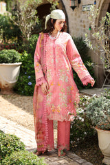 Lifestyle Summer Collection 2026
