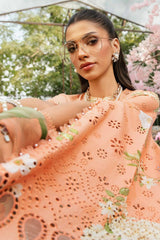 MARIA B M PRINTS EID UL ADHA EDITION'25