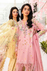 MARIA B M PRINTS EID UL ADHA EDITION'25