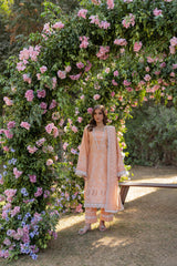 Reveerie ChikenKari Lawn 25