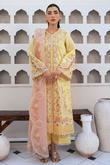 Qalamkar Qline Summer Lawn 25