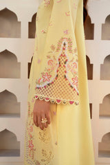 Qalamkar Qline Summer Lawn 25