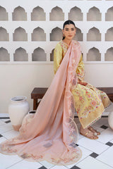 Qalamkar Qline Summer Lawn 25