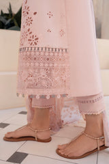 Qalamkar Qline Summer Lawn 25