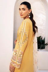 Qalamkar Qline Summer Lawn 25