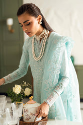 The Eid Edit Chikankari By Qalamkar 25