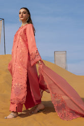 Rang Rasiya Premium Summer Collection '26