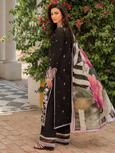 Roheenaz Wisteria Spring Summer