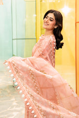 Maria B M Basic Unstitched 3 Piece Lawn 25