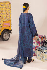Alizeh Sheen Prints Collection '24 (04)