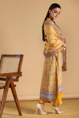 Aafreen Digital Printed Vol-2 Karandi Collection