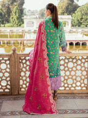 Rajbari Premium Chikankari Autumn / Winter