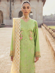 Rajbari Premium Chikankari Autumn / Winter