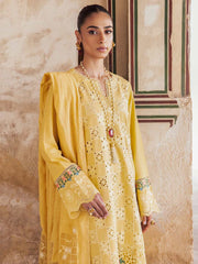 Rajbari Premium Chikankari Autumn / Winter
