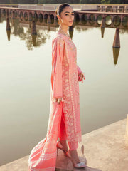 Rajbari Premium Chikankari Autumn / Winter