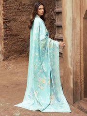 Rajbari Premium Chikankari Autumn / Winter