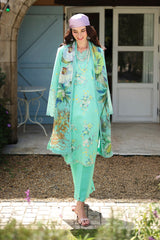 Lifestyle Summer Collection 2026