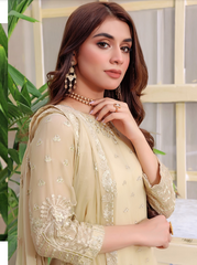 Soghat Gulaal Chiffon