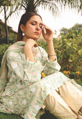 Rashid Textile Nauroz