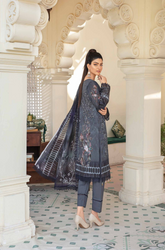 Aalaya Afreen Exclusive