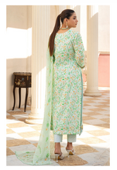 Al Zohaib Sunshine Bloom