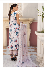 Al Zohaib Sunshine Bloom