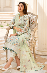 Al Zohaib Sunshine Bloom