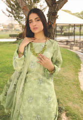 Rashid Textile Nauroz