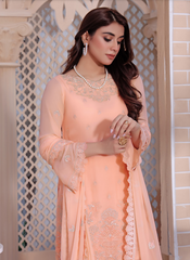 Soghat Gulaal Chiffon