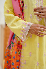 Zellbury Signature 3 PC Embroidered Collection