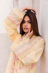 Adan's Libas Chikankari Lawn Collection 24