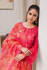 Adan's Libas Chikankari Lawn Collection 24