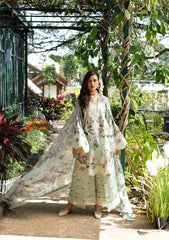 ELAF SIGNATURE - EMBROIDERED COLLECTION '26