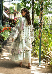 ELAF SIGNATURE - EMBROIDERED COLLECTION '26