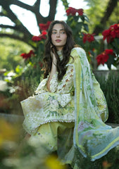 ELAF SIGNATURE - EMBROIDERED COLLECTION '26