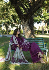 ELAF SIGNATURE - EMBROIDERED COLLECTION '26