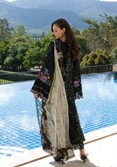 ELAF SIGNATURE - EMBROIDERED COLLECTION '26