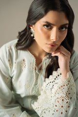 Unstitched Chikankari Lawn Collection 25