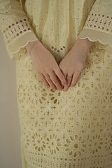 Unstitched Chikankari Lawn Collection 25