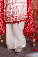 Gul Ahmed Lawn Collection