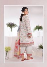 Rang Rassiya Summer Breeze