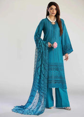 Tehzeeb By Riaz Arts Embroidered Chikankari Collection 24 (04)