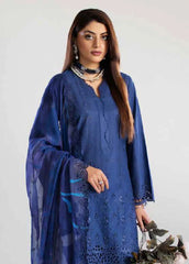 Tehzeeb By Riaz Arts Embroidered Chikankari Collection 24 (01)