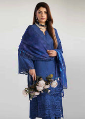 Tehzeeb By Riaz Arts Embroidered Chikankari Collection 24 (01)