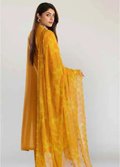 Tehzeeb By Riaz Arts Embroidered Chikankari Collection 24 (02)