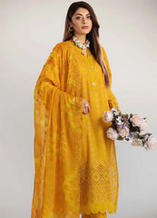 Tehzeeb By Riaz Arts Embroidered Chikankari Collection 24 (02)