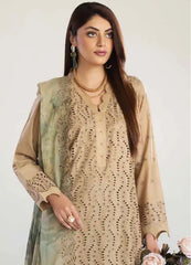Tehzeeb By Riaz Arts Embroidered Chikankari Collection 24 (06)