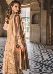 Tena Durrani Formals