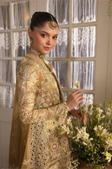 AFROZEH DASTANGOI 25