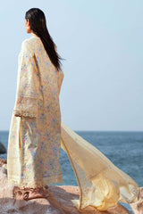 AFROZEH SUMMER TOGETHER 25